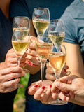 Lanson Le Rose champagne gift pack with two flutes 75cl, UK version