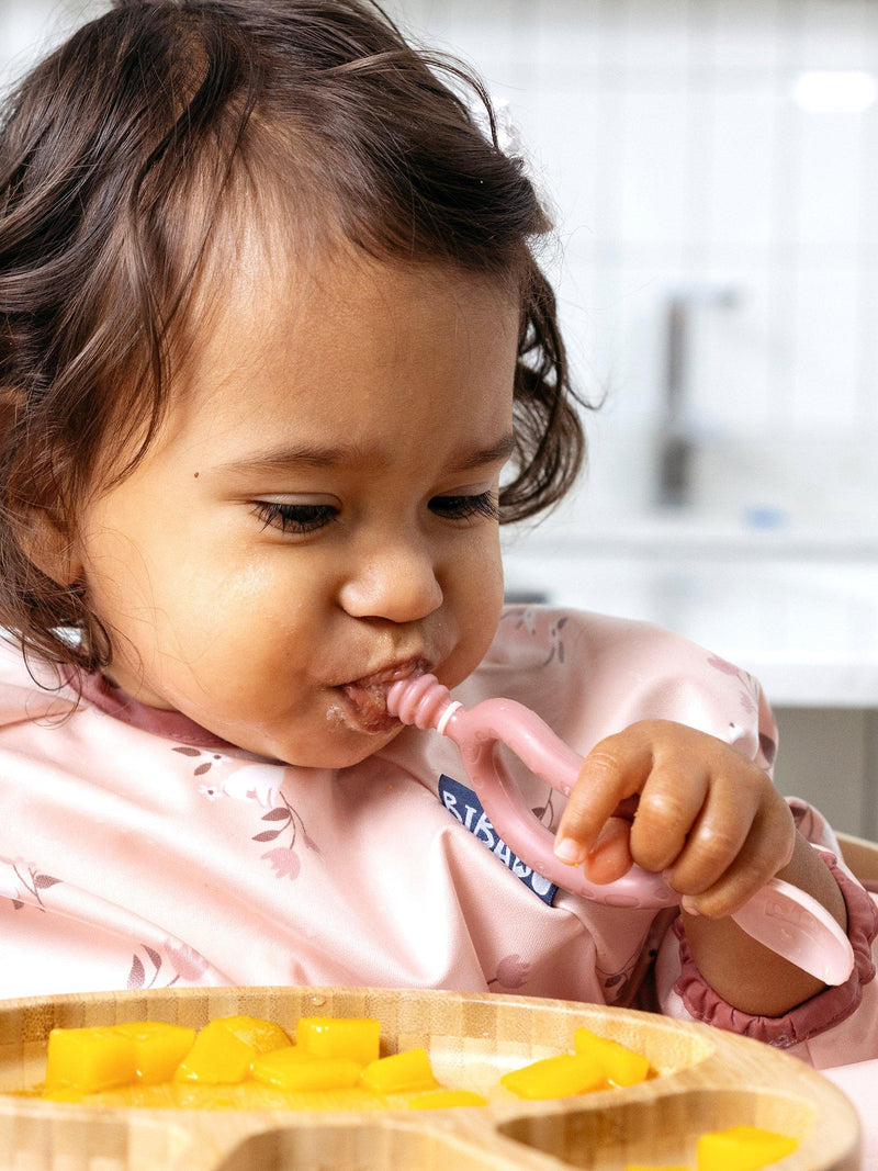 Bibado Dippit Multi Stage Weaning Spoon Pack of 2 - British product