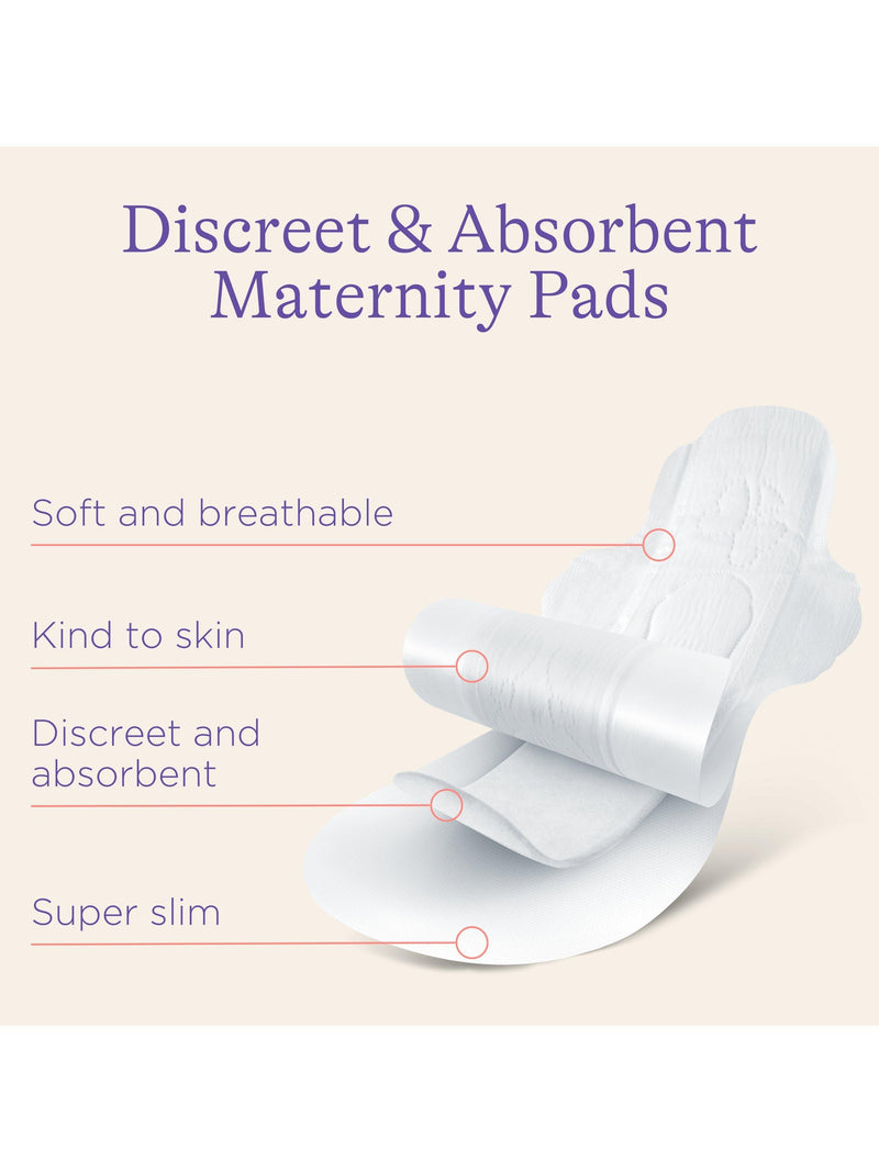 Lansinoh Extra Absorbent Maternity Pads Pack of 10, UK version