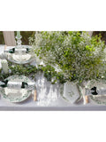 Sophie Conran for Portmeirion Mistletoe pasta bowls set of 4, imported from the UK