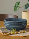 Denby dark grey speckle pasta bowls 22cm set of 4 (British brand)