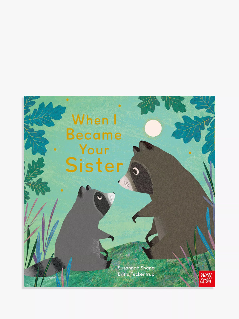 Nosy Crow When I Became Your Sister picture book hardback - British product