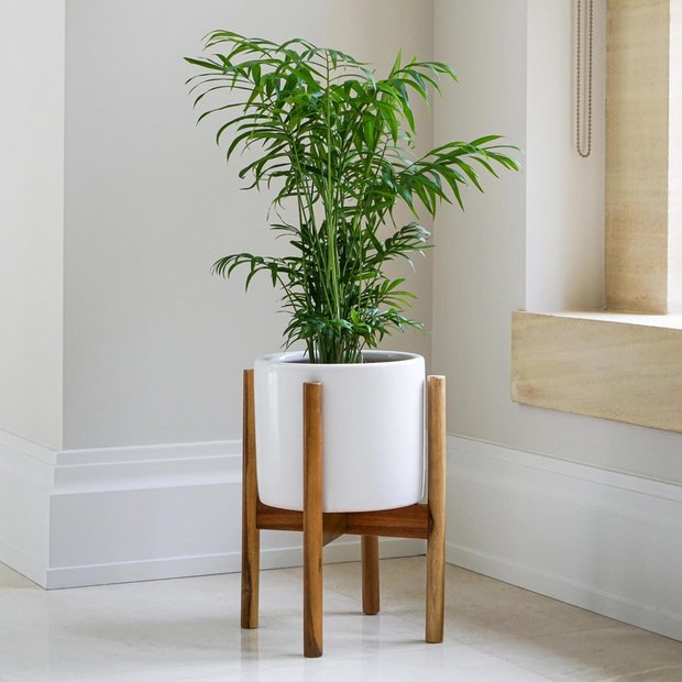 Ivyline Anzio ceramic planter white (British brand)