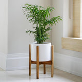 Ivyline Anzio ceramic planter white (British brand)