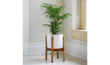 Argos Ivyline Anzio Ceramic Planter White- Buy online at McGrocer