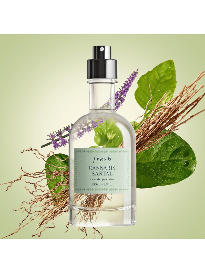 Fresh Cannabis Santal Eau de Parfum 100ml, imported from the UK