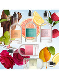 Fresh Cannabis Santal Eau de Parfum 100ml, imported from the UK