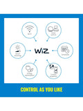 WiZ Imageo Smart 4 Spotlight, white, UK version
