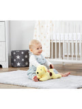 Rainbow Designs Spot the Dog plush toy 33cm (British brand)