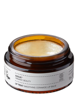 John Lewis Evolve Organic Beauty Lip Treat Mandarin and Vanilla Lip Balm 15ml- Buy online at McGrocer
