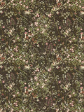 Sanderson Bambie Furnishing Fabric, Chocolate