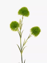 John Lewis Floralsilk Artificial Dianthus Spray Green Floral Stem- Buy online at McGrocer