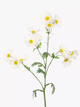 John Lewis Artificial Wild Cosmos Spray in White for Floral Arrangements- Buy online at McGrocer