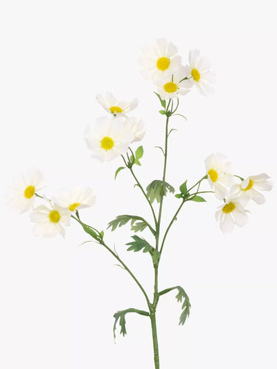 John Lewis Artificial Wild Cosmos Spray in White for Floral Arrangements- Buy online at McGrocer