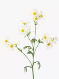 Floralsilk artificial wild cosmos spray in white - British product