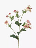 Floralsilk artificial astrantia spray pink/green - British product