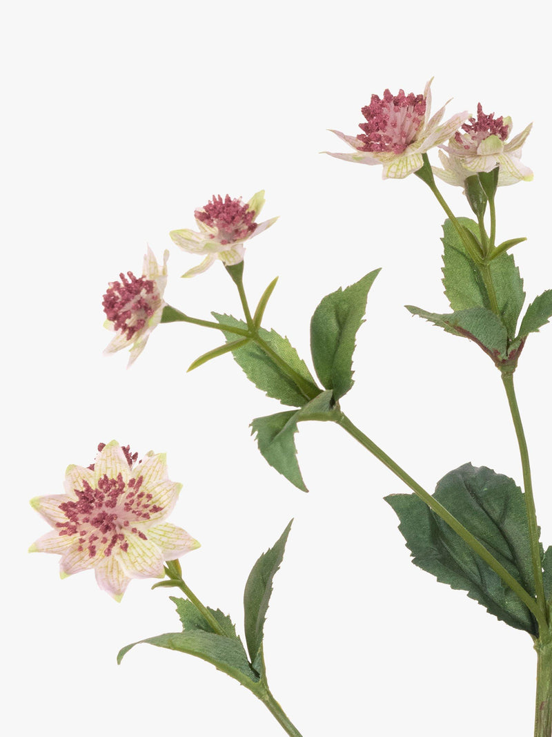 Floralsilk artificial astrantia spray pink/green - British product