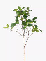 John Lewis Floralsilk Artificial Enkianthus Spray Green Room Decoration- Buy online at McGrocer