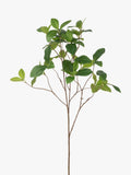 Floralsilk Artificial Enkianthus Spray Green - British product