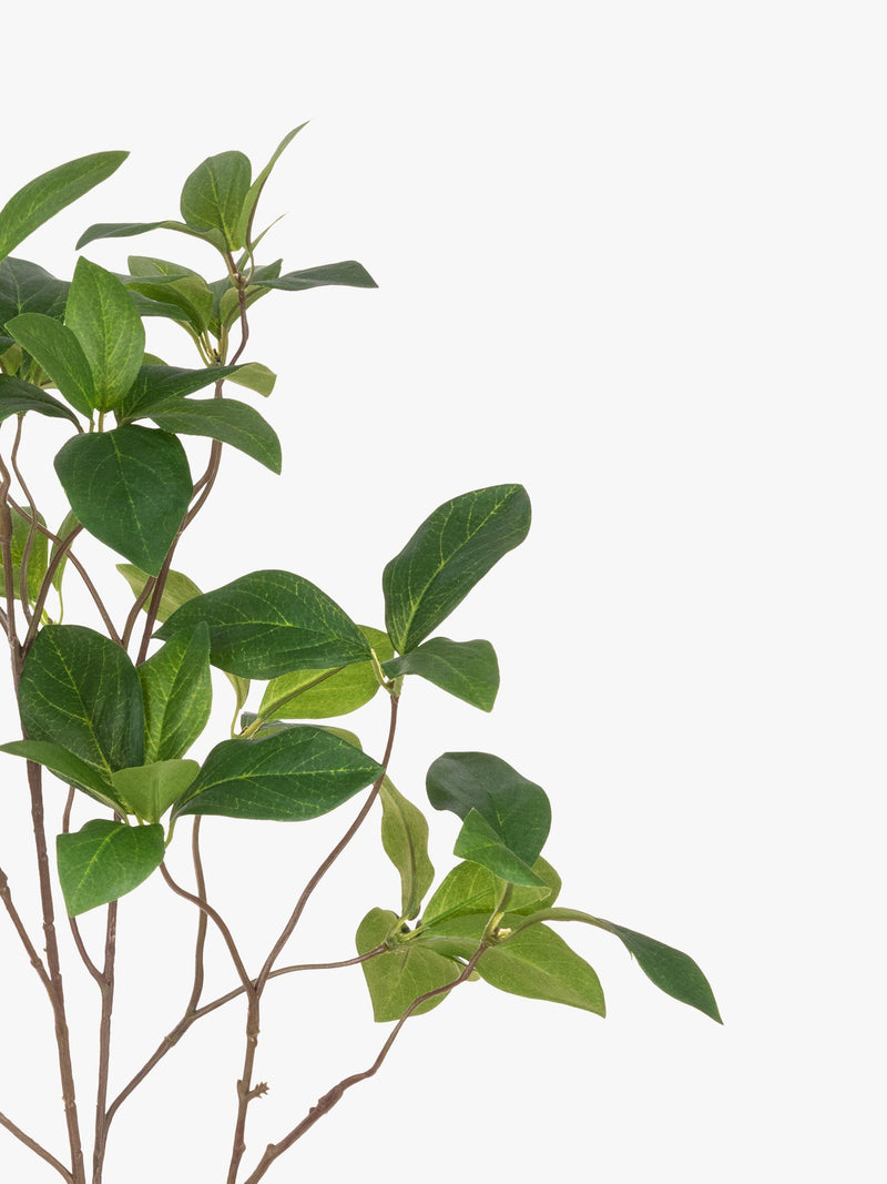 Floralsilk Artificial Enkianthus Spray Green - British product