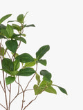 Floralsilk Artificial Enkianthus Spray Green - British product