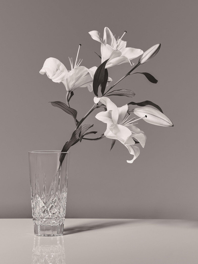 Waterford Crystal Lismore vase H20cm (British brand)