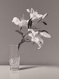 Waterford Crystal Lismore vase H20cm (British brand)