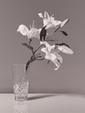 Waterford Crystal Lismore vase H20cm (British brand)