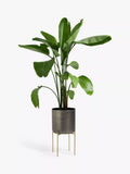 John Lewis large indoor iron planter grey brass stand, imported from the UK