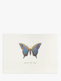 Portico blue butterfly note cards 10-pack, imported from the UK