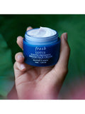 Frische Jugend-Pflege Traum Gesichtscreme 50ml, UK Version