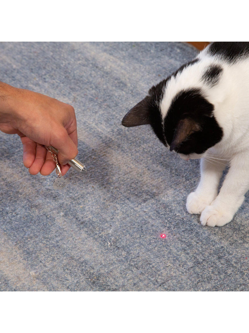 Kikkerland stainless steel cat laser pointer, UK version