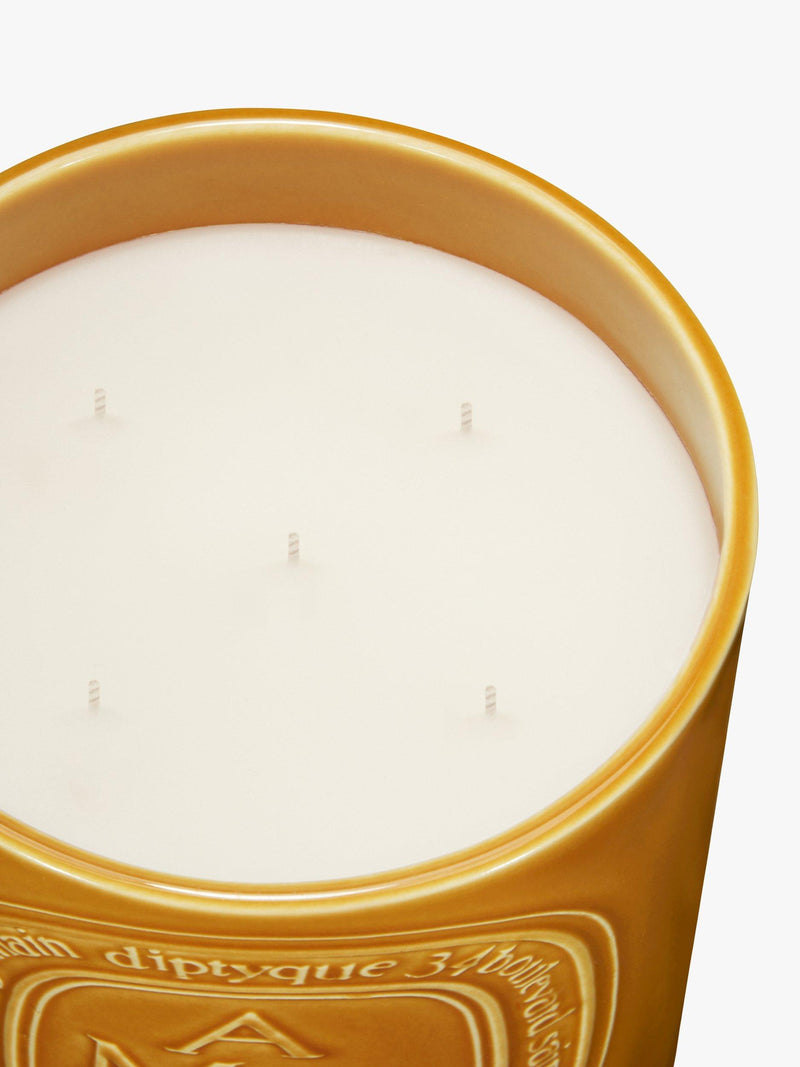 Diptyque Ambre scented candle 1500g - British product