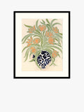 John Lewis La Poire Apricot Tulips framed print in green and orange, UK version