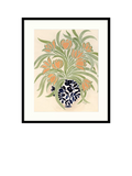 John Lewis La Poire Apricot Tulips framed print in green and orange, UK version