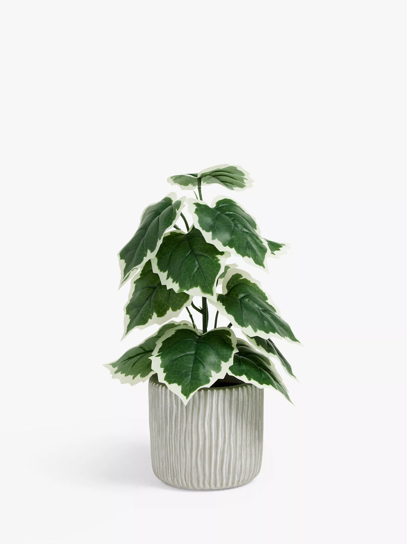 John Lewis Artificial Fig Plant Green Grey, UK version