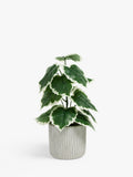 John Lewis Artificial Fig Plant Green Grey, UK version