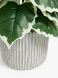 John Lewis Artificial Fig Plant Green Grey, UK version
