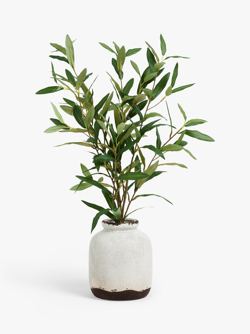 John Lewis artificial olive in ceramic vase, white/green, UK version