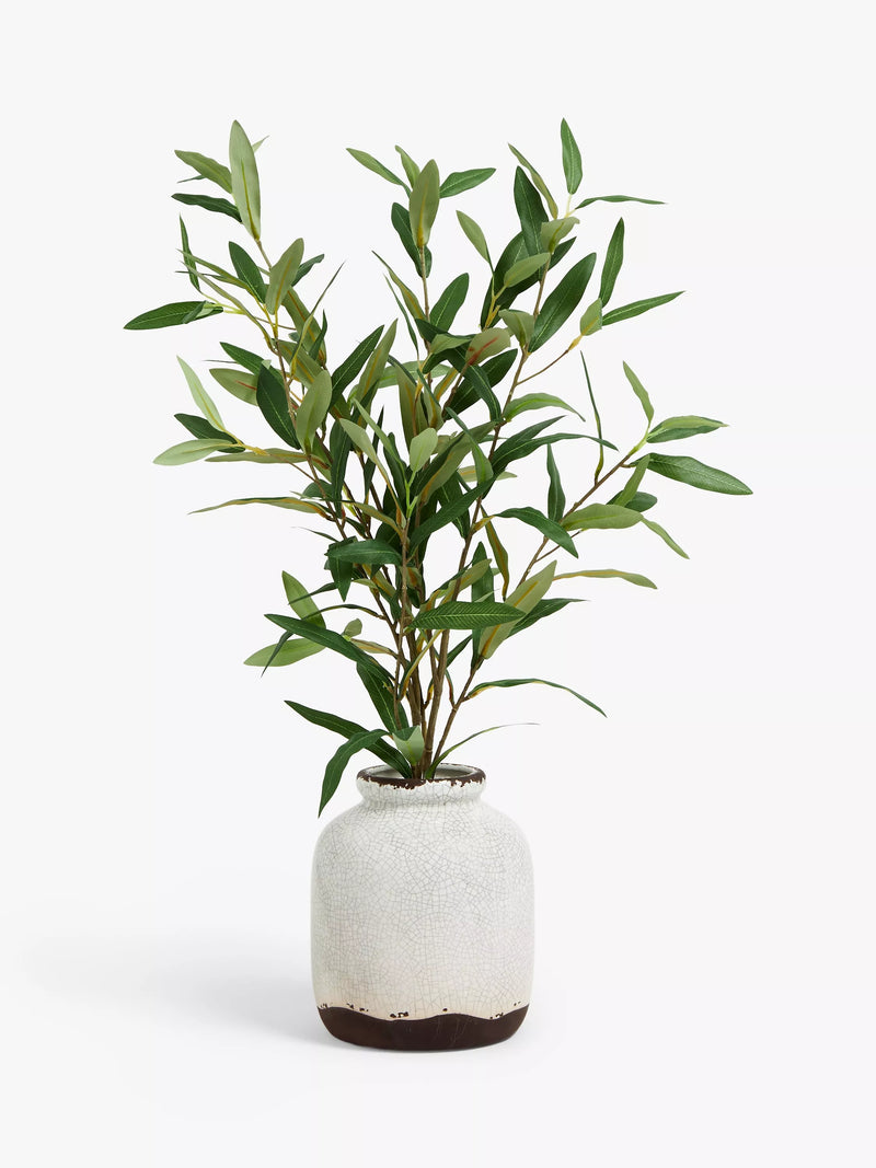 John Lewis artificial olive in ceramic vase, white/green, UK version