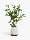 John Lewis artificial olive in ceramic vase, white/green, UK version