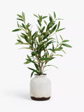 John Lewis artificial olive in ceramic vase, white/green, UK version