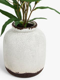John Lewis artificial olive in ceramic vase, white/green, UK version