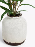 John Lewis artificial olive in ceramic vase, white/green, UK version