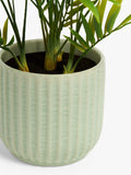 John Lewis artificial bamboo plant in green ceramic pot, UK version