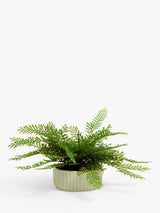John Lewis John Lewis Artificial Fern in Green Ceramic Pot Artificial Plant- Buy online at McGrocer