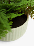 John Lewis artificial fern in green ceramic pot, UK version