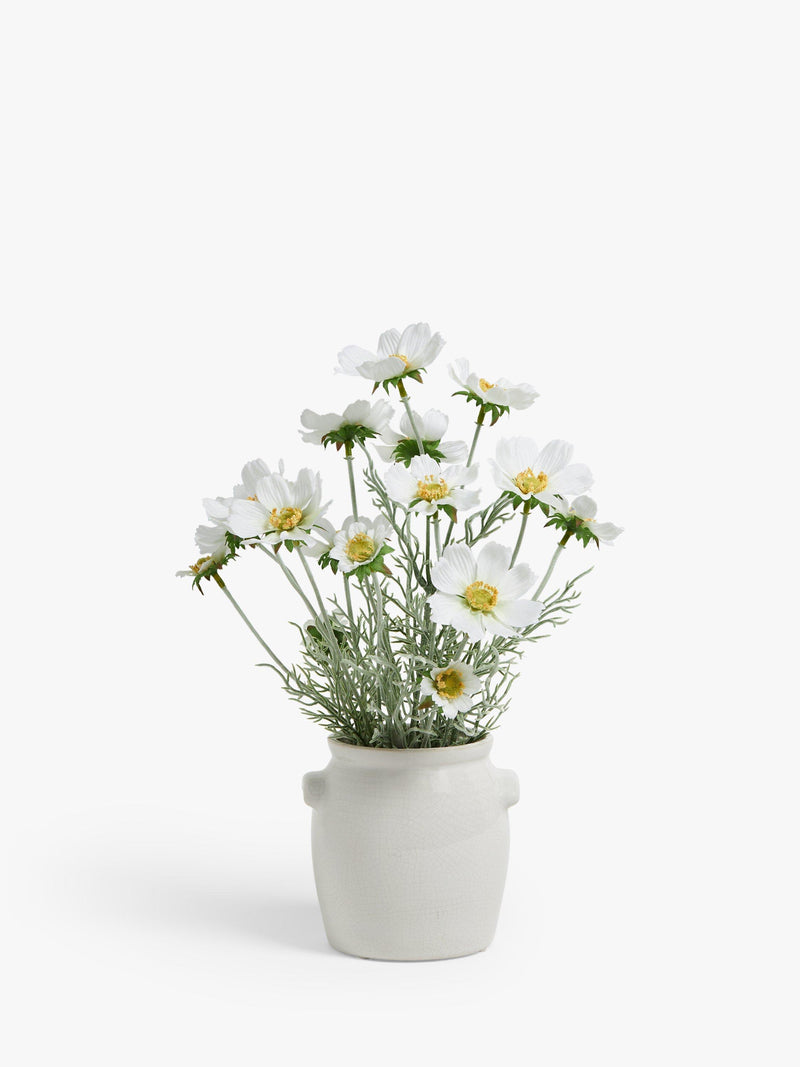 John Lewis artificial cosmos white green ceramic pot, UK version