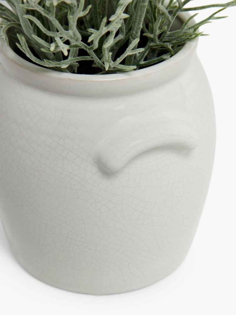 John Lewis artificial cosmos white green ceramic pot, UK version
