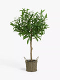 John Lewis artificial olive tree in wicker basket 78cm - British product